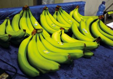 2_2_Kuehllager_Bananen_0758.jpg